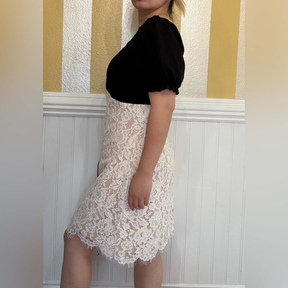 Elegant Lace Dress - Picture 3 of 6